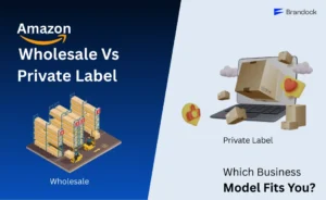 Amazon FBA Private Label vs Wholesale comparison graphic showing warehouse wholesale model versus private label eCommerce setup, helping sellers choose the right Amazon business model, by Brandock.